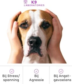 K9 Laboratories Kalmte & Balans - Hond - 60 Stuks - Bij Stress, Angst En Agressie - Ashwagandha - L-tryptofaan - Passiebloem - Valeriaanwortel - Lavendel 15 K9 Laboratories Kalmte & Balans - Hond - 60 Stuks - Bij Stress, Angst En Agressie - Ashwagandha - L-tryptofaan - Passiebloem - Valeriaanwortel - Lavendel -Huisdierbenodigdheden 1023x1200