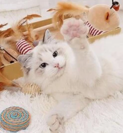 GIZMO Luxe Kattenspeeltjes Set - 7 Speeltjes - Interactieve Kattenhengel, Kattenspeelgoed & Speelmuisjes - Kitten Speeltjes 17 GIZMO Luxe Kattenspeeltjes Set - 7 Speeltjes - Interactieve Kattenhengel, Kattenspeelgoed & Speelmuisjes - Kitten Speeltjes -Huisdierbenodigdheden 1108x1200