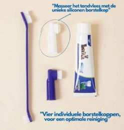 Hond En Kat Tandenborstel Verzorgingsset - Inclusief Tandpasta Met Beefsmaak - Vier Unieke Reinigingsborstels - Fluoride Vrij -Huisdierbenodigdheden 1142x1200 1
