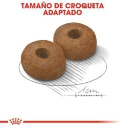 Royal Canin Maxi Ageing 8+ 15 KG -Huisdierbenodigdheden 1149x1200 3