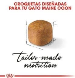 Royal Canin Maine Coon Kitten - Kattenvoer - 4 Kg -Huisdierbenodigdheden 1151x1200 1