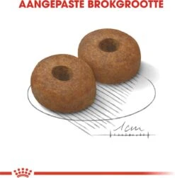 Royal Canin Maxi Ageing 8+ 15 KG -Huisdierbenodigdheden 1179x1200 4
