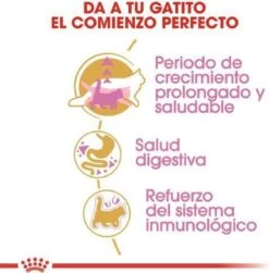 Royal Canin Maine Coon Kitten - Kattenvoer - 4 Kg -Huisdierbenodigdheden 1180x1200