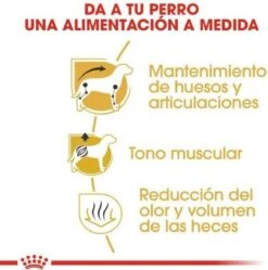 Royal Canin Dachshund/Teckel Adult 7.5 KG -Huisdierbenodigdheden 1190x1200