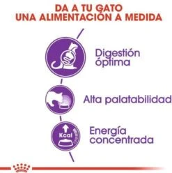 Royal Canin Sensible 33 - Kattenvoer - 10+2 Kg Bonusbag -Huisdierbenodigdheden 1197x1200 3