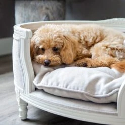 Lord Lou - George Roze Velvet S - Luxe Hondenmand - Luxe Kattenmand - 49x40x31 17 Lord Lou - George Roze Velvet S - Luxe Hondenmand - Luxe Kattenmand - 49x40x31 -Huisdierbenodigdheden 1198x1200 2