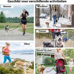 Filo Elastische Hondenriem Middel - Hardlopen En Wandelen - Hardloopriem Hond Handsfree Met Heuptasje - Looplijn Met Heupriem - Canicross Gordel Honden - Riemen - Heupgordel - Leiband 17 Filo Elastische Hondenriem Middel - Hardlopen En Wandelen - Hardloopriem Hond Handsfree Met Heuptasje - Looplijn Met Heupriem - Canicross Gordel Honden - Riemen - Heupgordel - Leiband -Huisdierbenodigdheden 1198x1200 6