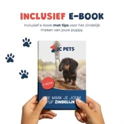 JC Pets Premium Pad Houder Met Rooster - Inclusief 20 Puppy Training Pads - Hondentoilet - Zindelijkheidstraining Hond 23 JC Pets Premium Pad Houder Met Rooster - Inclusief 20 Puppy Training Pads - Hondentoilet - Zindelijkheidstraining Hond -Huisdierbenodigdheden 1199x1200 7