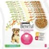 Beneful Pouch - Hondenvoer Kip & Rund In Saus - 40 X 100 G 2 Beneful Pouch - Hondenvoer Kip & Rund In Saus - 40 X 100 G -Huisdierbenodigdheden 1200x1010