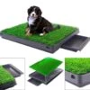 Merkloos Hondentoilet Kunstgras Met Bak - Indoor Dierentoilet - Uitneembare Opvangbak - Puppy Training Pets - Outdoor/Balkon/Tuin/Indoor Toilet - 50x64 Cm 2 Merkloos Hondentoilet Kunstgras Met Bak - Indoor Dierentoilet - Uitneembare Opvangbak - Puppy Training Pets - Outdoor/Balkon/Tuin/Indoor Toilet - 50x64 Cm -Huisdierbenodigdheden 1200x1041 2