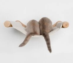 RHRQuality Wandmeubel Wandmontage Klimmuur Kat 53 X 43cm Luxe Hangmat XXL Creme Klim Wand Muur Krabpaal Katten Muurbevestiging -Huisdierbenodigdheden 1200x1041 3