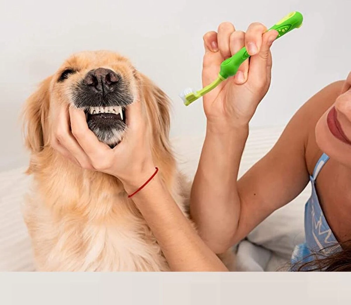 Merkloos Tandenborstel - Voor Huisdieren - Honden - 3 Zijdig - Multi-Hoek - Schoonmaken - Tanden - Slechte Adem - Tandsteen - Tandenborstel - Gezondheid - Blauw 6 Merkloos Tandenborstel - Voor Huisdieren - Honden - 3 Zijdig - Multi-Hoek - Schoonmaken - Tanden - Slechte Adem - Tandsteen - Tandenborstel - Gezondheid - Blauw - Afbeelding 4