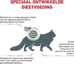 Royal Canin Satiety Weight Management - Kattenvoer - 6 Kg 16 Royal Canin Satiety Weight Management - Kattenvoer - 6 Kg -Huisdierbenodigdheden 1200x1050 4