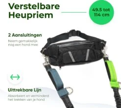 Canicross Looplijn Hond Met Heupriem Voor Hardlopen - Elastische Handsfree Hondenriem - Honden Trainingslijn - 150/200cm - Groen -Huisdierbenodigdheden 1200x1077