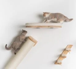 RHRQuality Wandmeubel Wandmontage Klimmuur Kat 53 X 43cm Luxe Kattenbed Creme Wand Muur Krabpaal Katten Muurbevestiging -Huisdierbenodigdheden 1200x1090 1