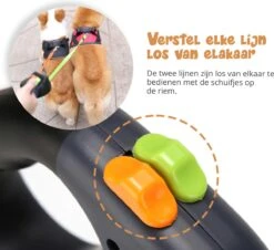 Dubbele Honden Riem – Leiband Hond – Hondenlijn – Looplijn Hond – 2 Honden – 3 Meter – Tot 12kg Per Hond – Reflecterende Lijnen – Met Zaklamp – 360° Draaien – Verstelbaar - Zwart 14 Dubbele Honden Riem – Leiband Hond – Hondenlijn – Looplijn Hond – 2 Honden – 3 Meter – Tot 12kg Per Hond – Reflecterende Lijnen – Met Zaklamp – 360° Draaien – Verstelbaar - Zwart -Huisdierbenodigdheden 1200x1096 2