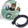 Natuurlijke Vlooienband - Katten - Zwart - Zonder Pesticiden Of Gif - Vlooien En Teken - Kattenbandje - Eco Friendly 1 Natuurlijke Vlooienband - Katten - Zwart - Zonder Pesticiden Of Gif - Vlooien En Teken - Kattenbandje - Eco Friendly -Huisdierbenodigdheden 1200x1096 4