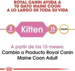 Royal Canin Maine Coon Kitten - Kattenvoer - 4 Kg -Huisdierbenodigdheden 1200x1127 1