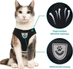Merkloos Kattentuigje Met Looplijn | Zwart Kattenharnas | Easy Step In | Kattenriem | Kattenlijn | Kattentuig | Maat S -Huisdierbenodigdheden 1200x1131