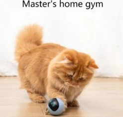 Otiume Interactieve Speelbal - Slimme Interactieve Jaag Speeltje Voor Katten - Kattenspeeltjes - Intelligente Jaagbal - AI -USB Oplaadbaar - LED - Blauw 13 Otiume Interactieve Speelbal - Slimme Interactieve Jaag Speeltje Voor Katten - Kattenspeeltjes - Intelligente Jaagbal - AI -USB Oplaadbaar - LED - Blauw -Huisdierbenodigdheden 1200x1137 8