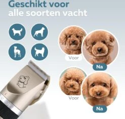 BYER Professionele Dieren Tondeuse Set - Voor Huisdieren Katten & Honden - Draadloos - Oplaadbare Pet Trimmer - Dog Tondeuze Clipper - 5 Standen & Vier Opzetkammen - Low Noise 14 BYER Professionele Dieren Tondeuse Set - Voor Huisdieren Katten & Honden - Draadloos - Oplaadbare Pet Trimmer - Dog Tondeuze Clipper - 5 Standen & Vier Opzetkammen - Low Noise -Huisdierbenodigdheden 1200x1144 1