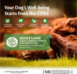 Wellness Core Grain Free Dog Adult Lam - Hondenvoer - 10 Kg 10 Wellness Core Grain Free Dog Adult Lam - Hondenvoer - 10 Kg -Huisdierbenodigdheden 1200x1159 2