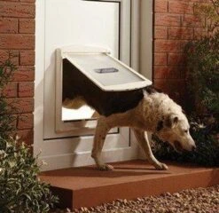 Staywell 777 Hondenluik - Large - Zilver/Tranparant 24 Staywell 777 Hondenluik - Large - Zilver/Tranparant -Huisdierbenodigdheden 1200x1168 4