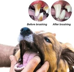 Doodadeals® 4 Stuks Siliconen Honden Tandenborstel - Tanden Borstel Hond - Silicone Dog Tootbrush - Multikleur -Huisdierbenodigdheden 1200x1175