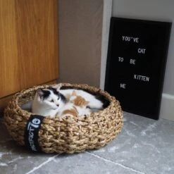 District 70 COCOON - Luxe Hondenmand Van Duurzaam Hoogwaardig Riet Met Zacht Kussen - Maten S/M/L - Large 28 District 70 COCOON - Luxe Hondenmand Van Duurzaam Hoogwaardig Riet Met Zacht Kussen - Maten S/M/L - Large -Huisdierbenodigdheden 1200x1200 101