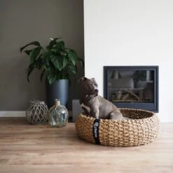 District 70 COCOON - Luxe Hondenmand Van Duurzaam Hoogwaardig Riet Met Zacht Kussen - Maten S/M/L - Large 29 District 70 COCOON - Luxe Hondenmand Van Duurzaam Hoogwaardig Riet Met Zacht Kussen - Maten S/M/L - Large -Huisdierbenodigdheden 1200x1200 102