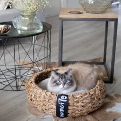 District 70 COCOON - Luxe Hondenmand Van Duurzaam Hoogwaardig Riet Met Zacht Kussen - Maten S/M/L - Large 36 District 70 COCOON - Luxe Hondenmand Van Duurzaam Hoogwaardig Riet Met Zacht Kussen - Maten S/M/L - Large -Huisdierbenodigdheden 1200x1200 107