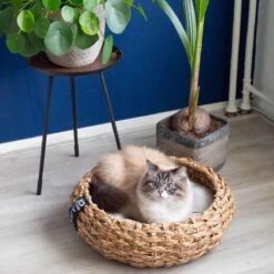 District 70 COCOON - Luxe Hondenmand Van Duurzaam Hoogwaardig Riet Met Zacht Kussen - Maten S/M/L - Large 37 District 70 COCOON - Luxe Hondenmand Van Duurzaam Hoogwaardig Riet Met Zacht Kussen - Maten S/M/L - Large -Huisdierbenodigdheden 1200x1200 108