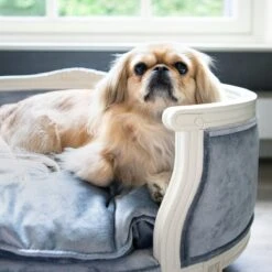 Lord Lou - George Roze Velvet S - Luxe Hondenmand - Luxe Kattenmand - 49x40x31 15 Lord Lou - George Roze Velvet S - Luxe Hondenmand - Luxe Kattenmand - 49x40x31 -Huisdierbenodigdheden 1200x1200 110