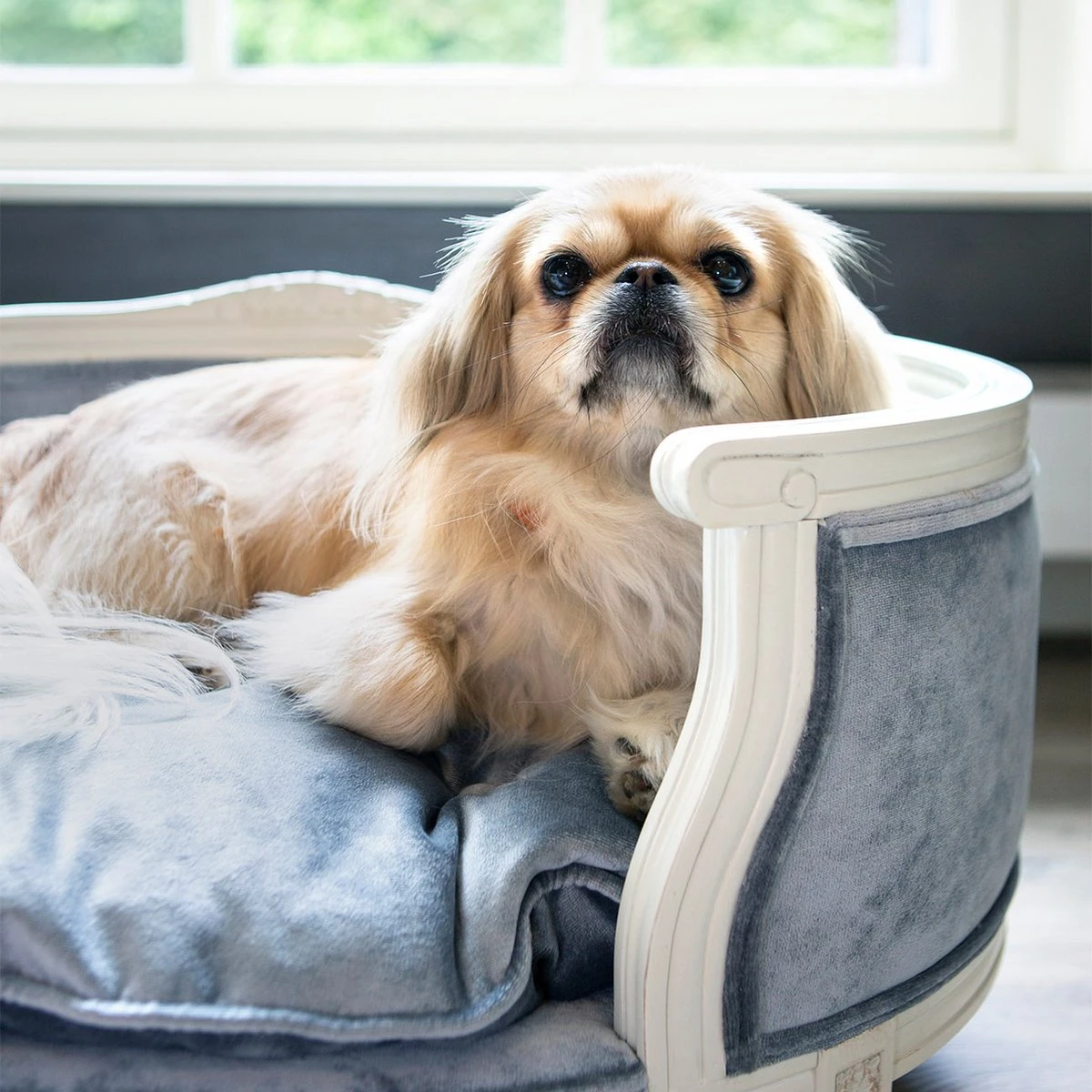 Lord Lou - George Roze Velvet S - Luxe Hondenmand - Luxe Kattenmand - 49x40x31 8 Lord Lou - George Roze Velvet S - Luxe Hondenmand - Luxe Kattenmand - 49x40x31 - Afbeelding 6