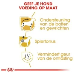 Royal Canin Dachshund/Teckel Adult 7.5 KG -Huisdierbenodigdheden 1200x1200 114