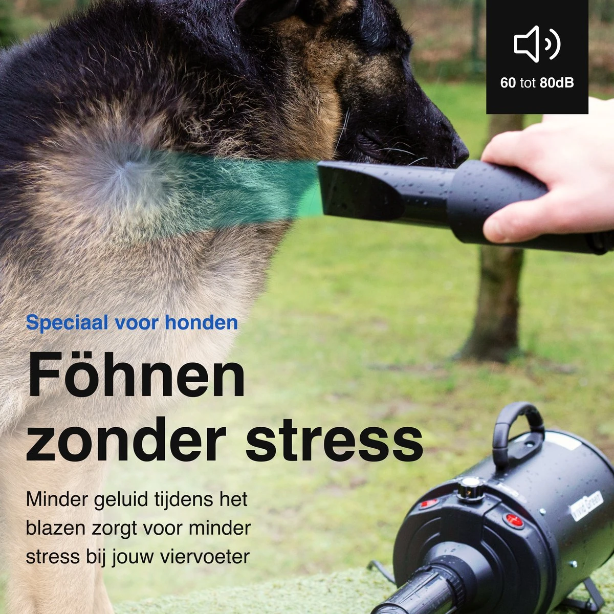 Vivid Green Waterblazer Met 3 Opzetstukken - Hondenfohn - Voor Honden - Met Geluiddemper - 2800W 11 Vivid Green Waterblazer Met 3 Opzetstukken - Hondenfohn - Voor Honden - Met Geluiddemper - 2800W - Afbeelding 9
