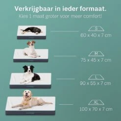 CozySense® - Orthopedisch Hondenkussen - Hondenkussen 75 X 45 Cm - Ook Geschikt Als Benchkussen & Hondenbed - Hondenkussen Bank - Traagschuim - Waterdicht - Wasbare Hoes - Maat M 11 CozySense® - Orthopedisch Hondenkussen - Hondenkussen 75 X 45 Cm - Ook Geschikt Als Benchkussen & Hondenbed - Hondenkussen Bank - Traagschuim - Waterdicht - Wasbare Hoes - Maat M -Huisdierbenodigdheden 1200x1200 151