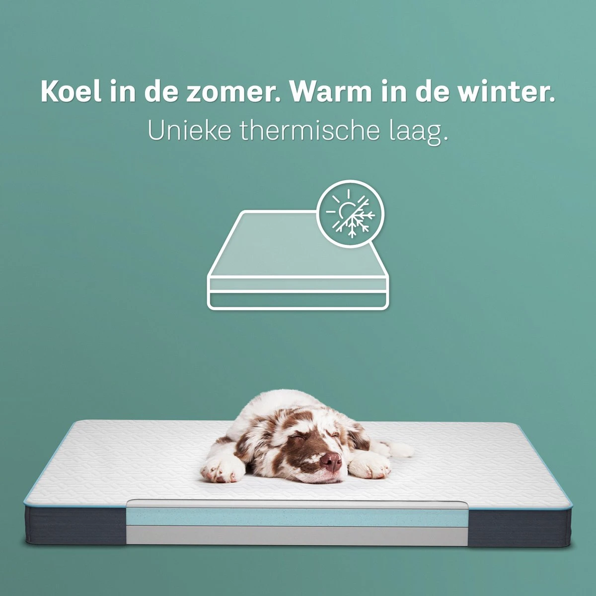 CozySense® - Orthopedisch Hondenkussen - Hondenkussen 75 X 45 Cm - Ook Geschikt Als Benchkussen & Hondenbed - Hondenkussen Bank - Traagschuim - Waterdicht - Wasbare Hoes - Maat M 6 CozySense® - Orthopedisch Hondenkussen - Hondenkussen 75 X 45 Cm - Ook Geschikt Als Benchkussen & Hondenbed - Hondenkussen Bank - Traagschuim - Waterdicht - Wasbare Hoes - Maat M - Afbeelding 4