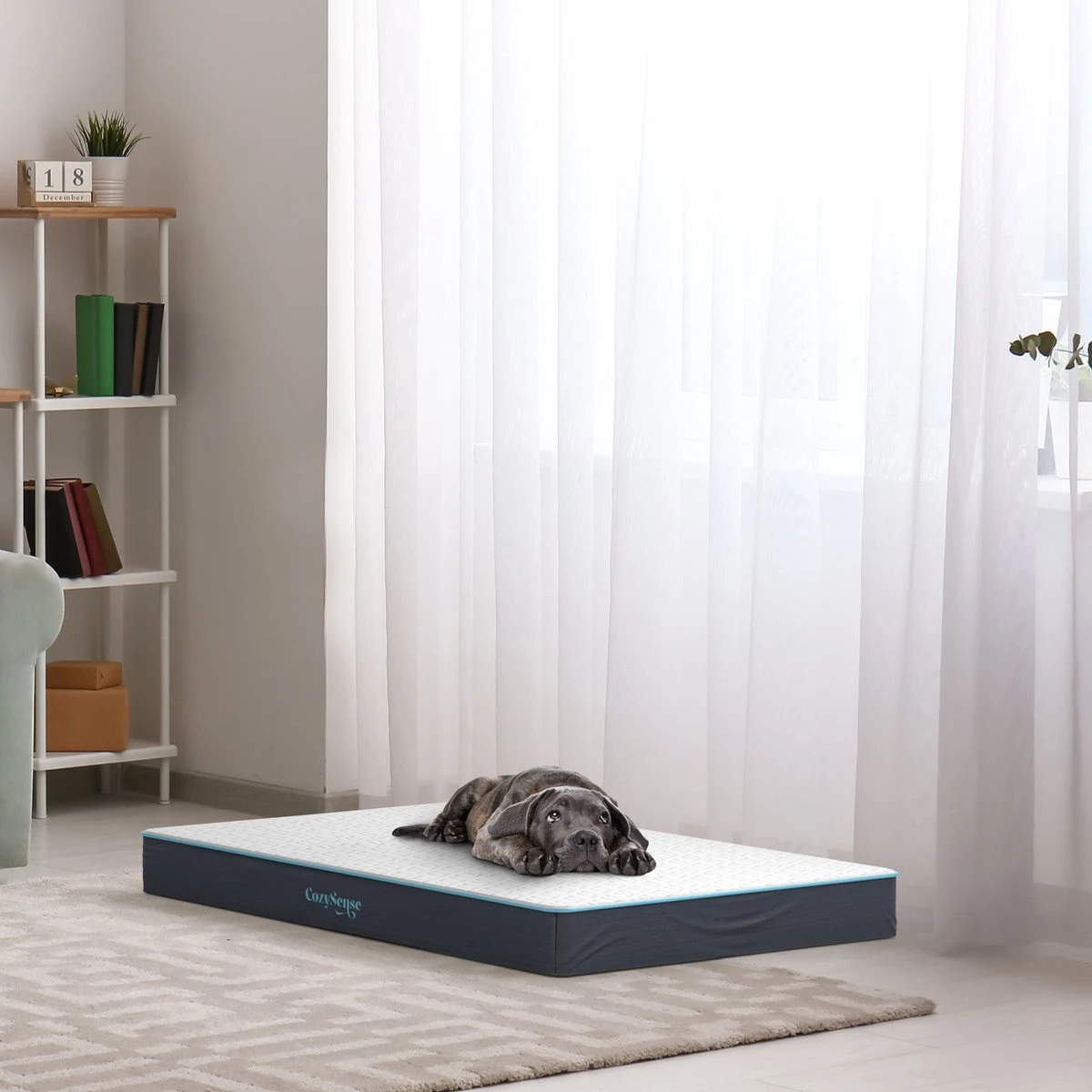 CozySense® - Orthopedisch Hondenkussen - Hondenkussen 75 X 45 Cm - Ook Geschikt Als Benchkussen & Hondenbed - Hondenkussen Bank - Traagschuim - Waterdicht - Wasbare Hoes - Maat M 8 CozySense® - Orthopedisch Hondenkussen - Hondenkussen 75 X 45 Cm - Ook Geschikt Als Benchkussen & Hondenbed - Hondenkussen Bank - Traagschuim - Waterdicht - Wasbare Hoes - Maat M - Afbeelding 6