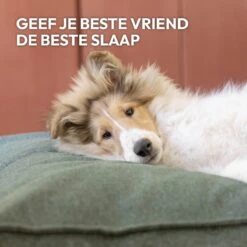 Snoozle Orthopedische Hondenmand - Zacht En Luxe Hondenkussen - Hondenbed - Wasbaar - Hondenmanden - 100 X 70 Cm - Stormy Grey 21 Snoozle Orthopedische Hondenmand - Zacht En Luxe Hondenkussen - Hondenbed - Wasbaar - Hondenmanden - 100 X 70 Cm - Stormy Grey -Huisdierbenodigdheden 1200x1200 164