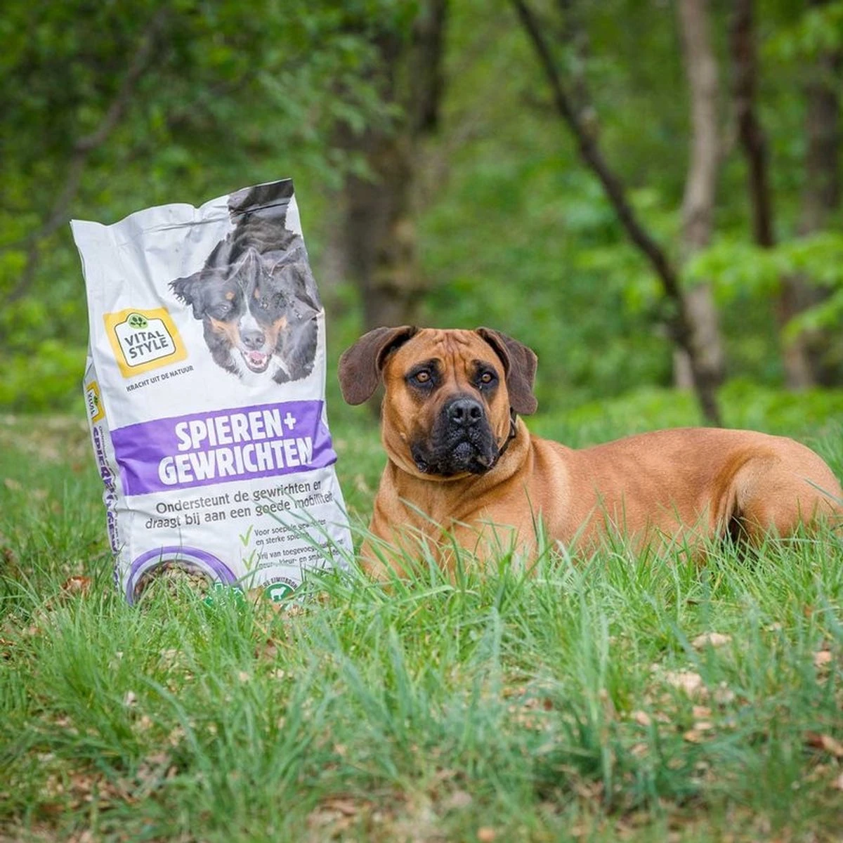 VITALstyle SPIEREN+GEWRICHTEN - Hondenbrokken - 12 Kg 11 VITALstyle SPIEREN+GEWRICHTEN - Hondenbrokken - 12 Kg - Afbeelding 9