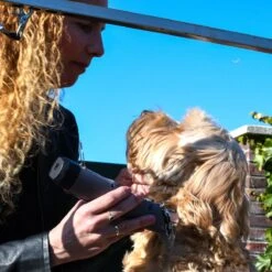 Clipr Ultimate 2-speed Hondentondeuse Op Accu 13 Clipr Ultimate 2-speed Hondentondeuse Op Accu -Huisdierbenodigdheden 1200x1200 181