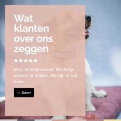 Rexproduct Hondenkussen - Hondenmand - Hondenbed Met Rits En Wasbaar - Manden & Kussens 90 X 110 CM - 0 Tot 80 Kg - SoftPet Groen -Huisdierbenodigdheden 1200x1200 196