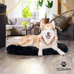All 4 Pets Supply® Hondenmand Donut - Maat XL - Geschikt Voor Honden Tot 100 Cm - Hondenkussen - Zwart -Huisdierbenodigdheden 1200x1200 212