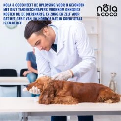 Nola & Coco® Tandsteen Verwijderaar Set Inclusief Bewaardoosje - Tandenkrabber - Set Van Twee - Hond - Kat - Tandenborstel - Tandplak Verwijderen - Tandenstoker - Honden Tanden Schoonmaken - Tandenhaakje - Gebitsreiniging 11 Nola & Coco® Tandsteen Verwijderaar Set Inclusief Bewaardoosje - Tandenkrabber - Set Van Twee - Hond - Kat - Tandenborstel - Tandplak Verwijderen - Tandenstoker - Honden Tanden Schoonmaken - Tandenhaakje - Gebitsreiniging -Huisdierbenodigdheden 1200x1200 223