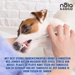 Nola & Coco® Tandsteen Verwijderaar Set Inclusief Bewaardoosje - Tandenkrabber - Set Van Twee - Hond - Kat - Tandenborstel - Tandplak Verwijderen - Tandenstoker - Honden Tanden Schoonmaken - Tandenhaakje - Gebitsreiniging 14 Nola & Coco® Tandsteen Verwijderaar Set Inclusief Bewaardoosje - Tandenkrabber - Set Van Twee - Hond - Kat - Tandenborstel - Tandplak Verwijderen - Tandenstoker - Honden Tanden Schoonmaken - Tandenhaakje - Gebitsreiniging -Huisdierbenodigdheden 1200x1200 226