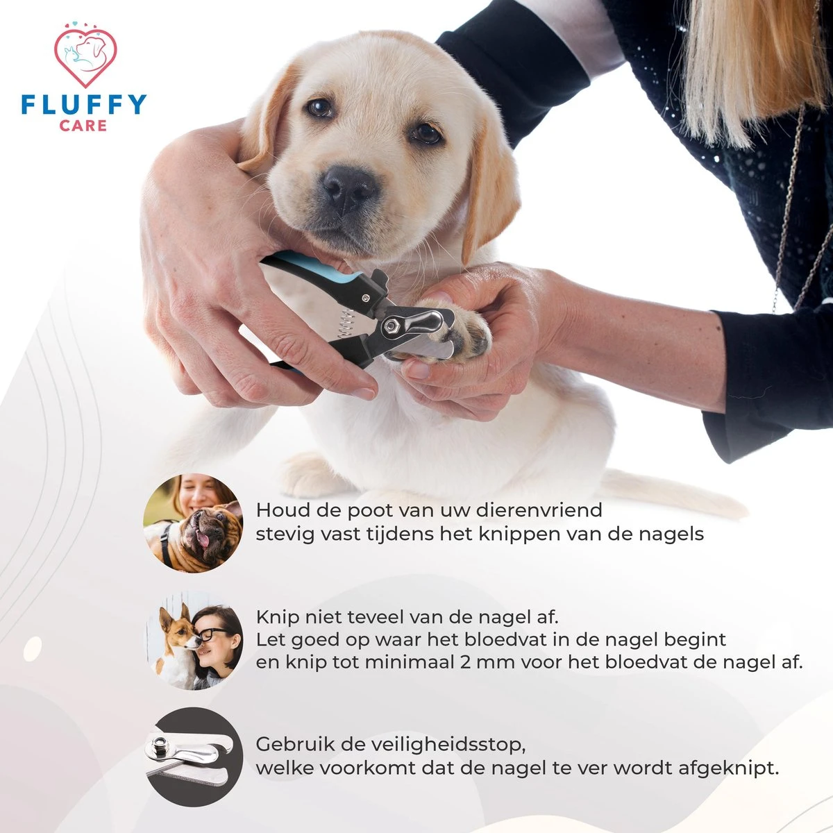FluffyCare - Professionele Nagelschaar- Nagelschaar Hond - Nagelschaar Kat - Nagelknipper Hond En Kat - Nagelknipper Kat - Nagelknipper Hond - NagelTang Dieren - Poot Verzorging 7 FluffyCare - Professionele Nagelschaar- Nagelschaar Hond - Nagelschaar Kat - Nagelknipper Hond En Kat - Nagelknipper Kat - Nagelknipper Hond - NagelTang Dieren - Poot Verzorging - Afbeelding 5