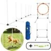 AYOO Agility Voor De Hond - Honden Training - Honden Behendigheid Set - Hondenparcours - Training Huisdieren - Honden Agility Set - Slalom - Horde - Draagzak - Agility Set - Oranje - Wit - GRATIS Speeltouw 2 AYOO Agility Voor De Hond - Honden Training - Honden Behendigheid Set - Hondenparcours - Training Huisdieren - Honden Agility Set - Slalom - Horde - Draagzak - Agility Set - Oranje - Wit - GRATIS Speeltouw -Huisdierbenodigdheden 1200x1200 247