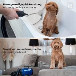 Nuvoo Professionele Hondenföhn / Waterblazer / Hondenborstel Met 3 Opzetstukken - Verstelbare Vermogen Tot 2200W - Warme / Koude Stand - Rood 15 Nuvoo Professionele Hondenföhn / Waterblazer / Hondenborstel Met 3 Opzetstukken - Verstelbare Vermogen Tot 2200W - Warme / Koude Stand - Rood -Huisdierbenodigdheden 1200x1200 25