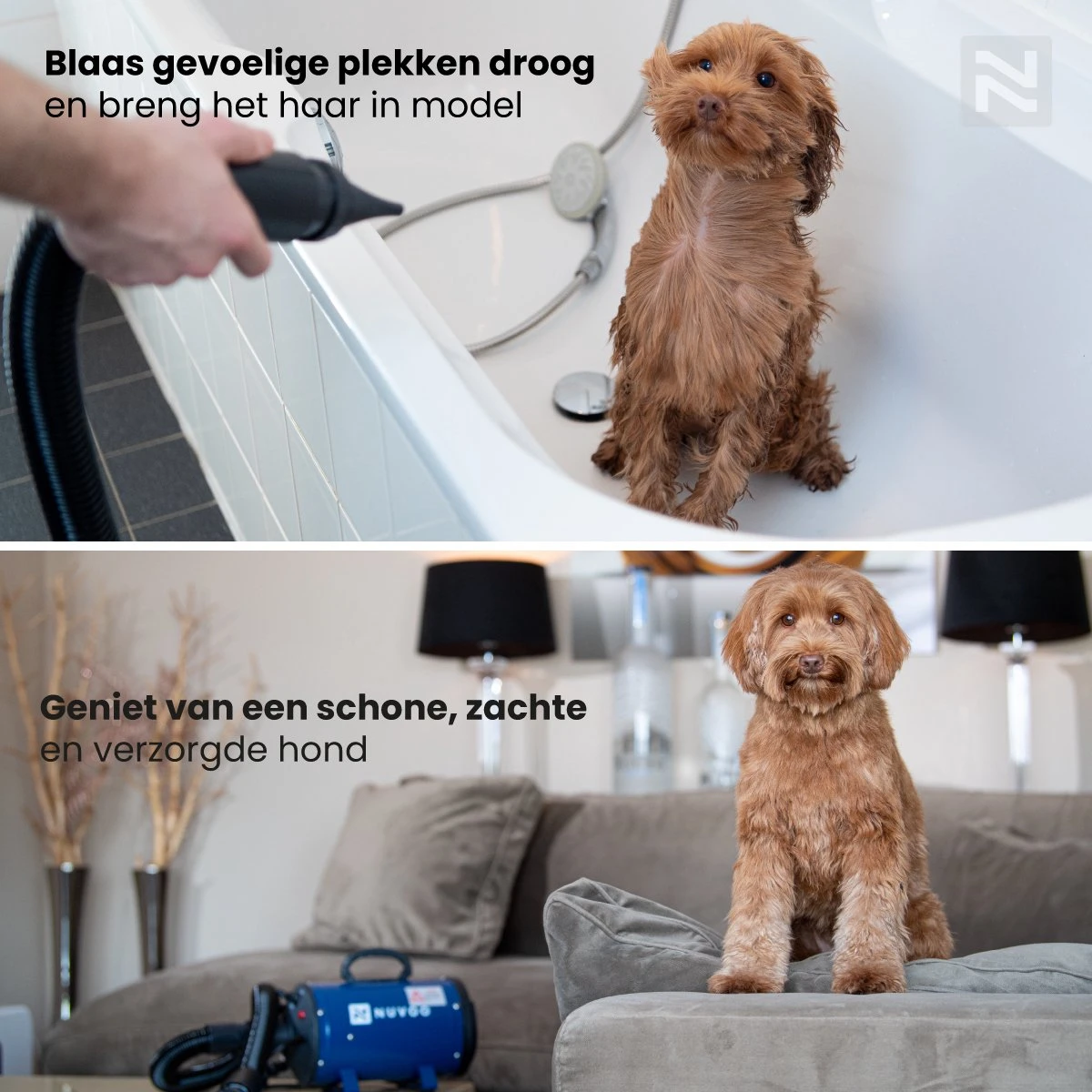 Nuvoo Professionele Hondenföhn / Waterblazer / Hondenborstel Met 3 Opzetstukken - Verstelbare Vermogen Tot 2200W - Warme / Koude Stand - Rood 7 Nuvoo Professionele Hondenföhn / Waterblazer / Hondenborstel Met 3 Opzetstukken - Verstelbare Vermogen Tot 2200W - Warme / Koude Stand - Rood - Afbeelding 5